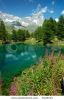 view-of-the-south-face-of-matterhorn-reflected-in-a-small-lake-italy-5145157-thumbnail