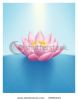perfect-water-lilly-thumbnail