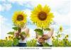 portrait-of-cute-girls-hiding-behind-sunflowers-on-sunny-day-58482262-thumbnail