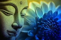 Thuyết Luân Hồi Trong Đạo Phật