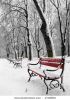 red-benches-in-a-park-covered-with-snow-thumbnail