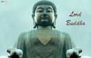 quyyphatphap-buddha-purnima-thumbnail