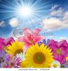 floral-background-27952118-thumbnail