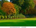 vivid-trees-jardin-du-luxembourg-paris-thumbnail