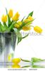 spring-flowers-2907169-thumbnail