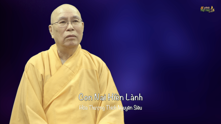 HT Nguyen Sieu 842 Con Nai Hien Lanh