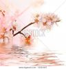 fresh-spring-blossoms-12561827-thumbnail