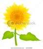 vector-sunflower-21104908-thumbnail