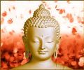 buddha12345654-thumbnail