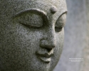 wallpaper-buddha-thumbnail