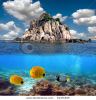 tropical-paradise-and-corals-on-a-reef-top-koh-tao-island-thailand-61471849-thumbnail