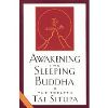 awakeningthesleepingbuddha-cover-thumbnail