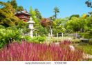 japanese-tea-garden-in-the-golden-gate-park-san-francisco-thumbnail