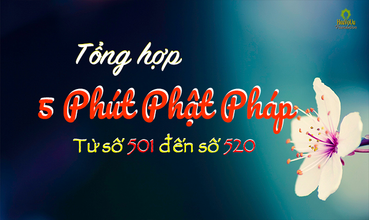 Tong-Hop-5ppp-501-520