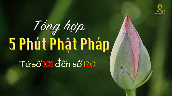 Tong Hop 5 PPP 101-120