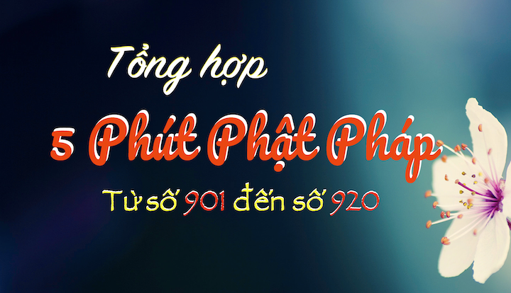 Tong Hop 5PPP 901-920