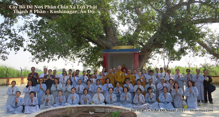 Cay Bo De Noi Phan Chia Xa Loi Phat 720