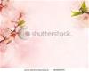 beautiful-flowers-frame-34682440-thumbnail