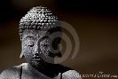 buddha-thumb14524370-thumbnail