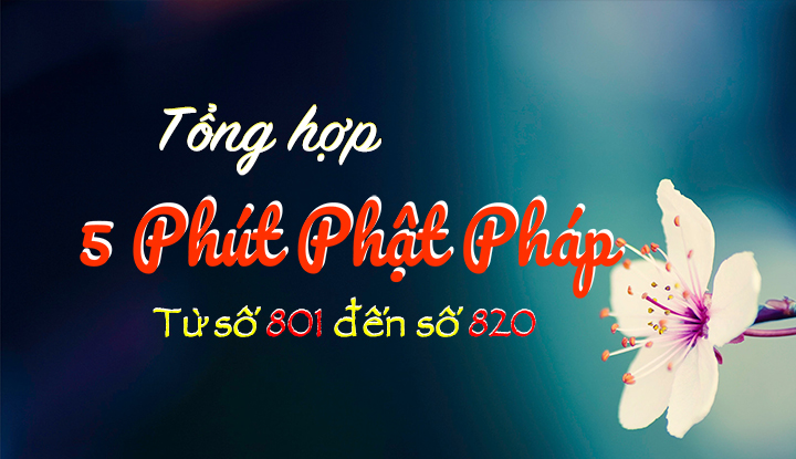 Tong Hop 5ppp 801-820