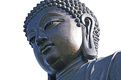 Ứng Dụng Lý Nhân Duyên Để Thấu Triệt Lời Phật Dạy