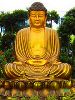 gautama-buddha-55582-thumbnail