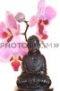 buddha-106588491-thumbnail