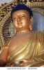 buddha-25376515-thumbnail