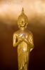 buddha-ching-96252165-thumbnail
