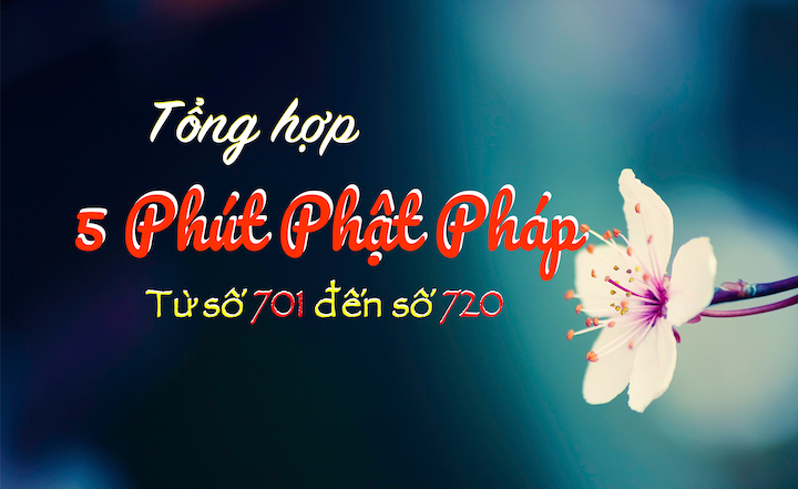 Tong Hop 5ppp 701 - 720