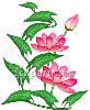 pink-lotus-flowers-clipart-image-thumbnail