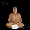 buddha-praying-1180748-thumbnail