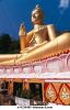 golden-statue-buddha-x14336485-thumbnail