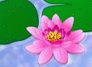 lotus2-kinhvongatuong-thumbnail