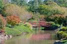 japanese-garden-1486943-thumbnail