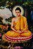buddha11-thumbnail