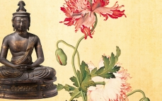 Đức Phật Sử Dụng Thần Thông, Phép Lạ Như Thế Nào