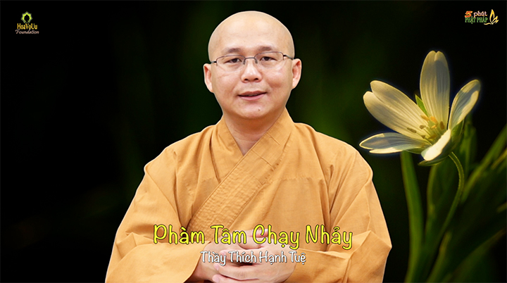 Thich Hanh Tue 735 Pham Tam Chay Nhay