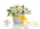 bunch-of-jasmine-flowers-13682575-thumbnail
