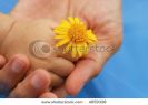 baby-hand-with-flower-in-mother-s-palm-4659328-thumbnail