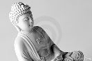 buddha-statue-thumb15418166-thumbnail