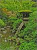 japanese-garden375x500-thumbnail
