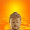 buddha-peace-990956-thumbnail