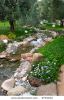 spring-flowers-in-the-asian-garden-with-a-pond-2794232-thumbnail