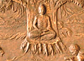 buddhalife