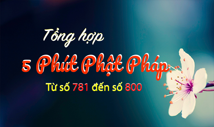 Tong Hop 5ppp 781-800