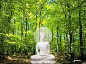 Những Bước Chân Đầu Tiên, Đi Vào Thiền Phật Giáo