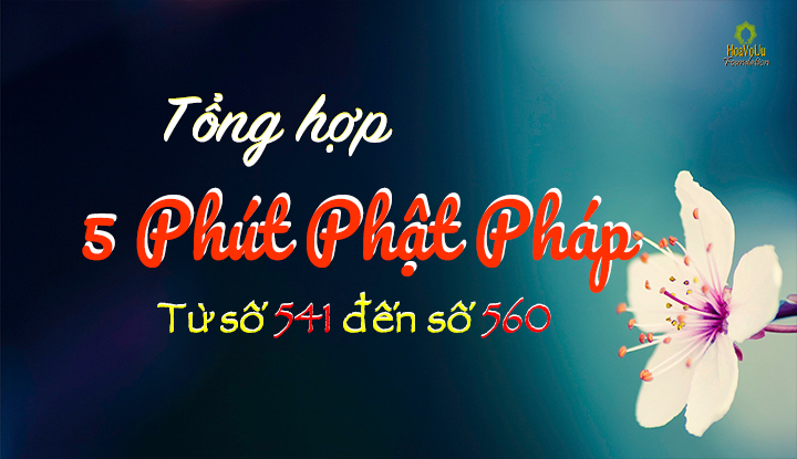 Tong Hop 5ppp 541-560