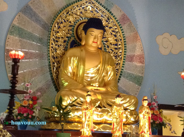 Khóa Tu Thiền Vipassana (8)