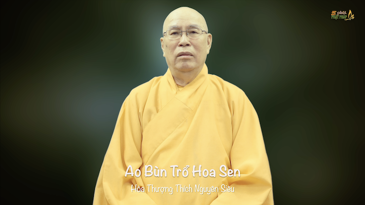 HT Nguyen Sieu 856 Ao Bun Tro Hoa Sen